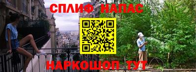 СК Будённовск